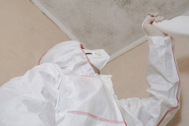 Best Mold Testing  in Manhattan, IL